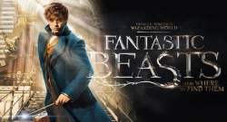BOX OFFICE: Fantastic Beasts and Where To Find Them niyo filime yacurujwe cyane muri iyi weekend