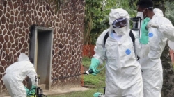 Ebola yongeye kugaragara mu Majyaruguru ya Congo