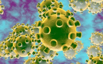 Australia: Abahanga babashije gukora igisa na virus ya coronavirus