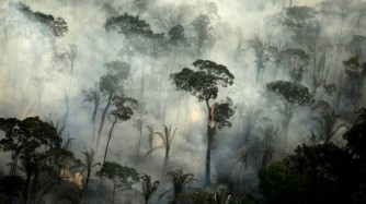 Brazil: Ubwiyongere bukabije bw’inkongi y’umuriro mu ishyamba rya Amazon