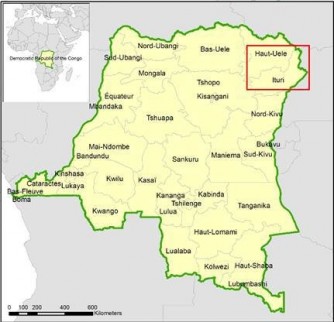 DRC: Abantu benshi biciwe mu bitero by’inyeshyamba, ibitaro birimo abarwayi biratwikwa