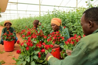 Bella Flowers yaciye agahigo ko kugurisha indabo nyinshi ku munsi wa  St Valentin!