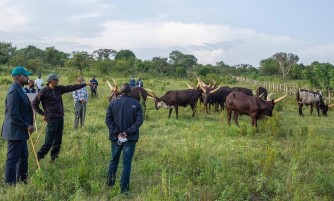 Inka Perezida Kagame yagabiye Gen. Muhoozi zimaze kuba 17