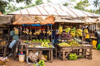 Hakorwa iki ngo Afurika yigobotore ingoyi y'inzara?