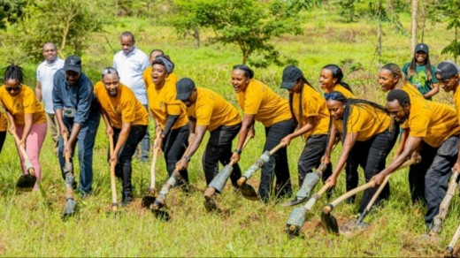 Inganzo Ngari batanze umusanzu mu kubungabunga ibidukikije batera ibiti 6,400-AMAFOTO