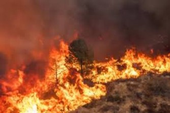 Abantu ibihumbi bimuwe muri Los Angeles bitewe n’inkongi nshya y'umuriro yadutse-AMAFOTO